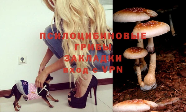 а пвп мука Бронницы
