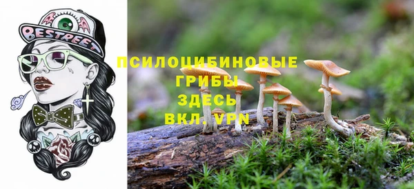 кристаллы Бородино